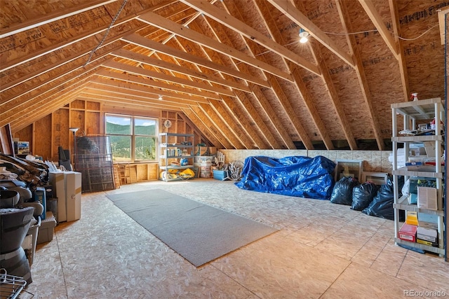 582 Buddy Rd, Bailey, CO 80421 - view of unfinished attic