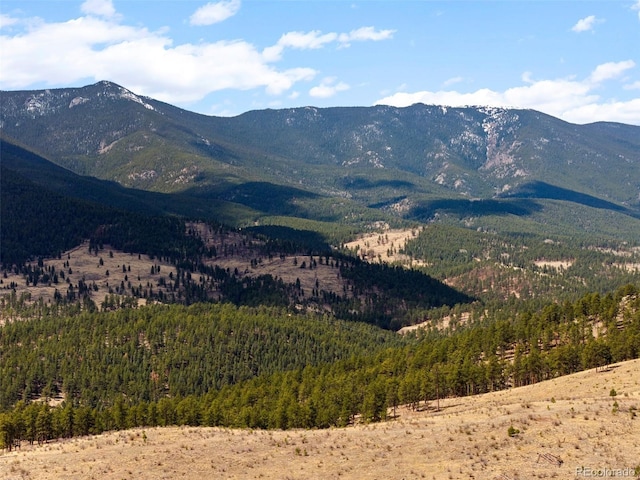 582 Buddy Rd, Bailey, CO 80421 - view of mountain feature