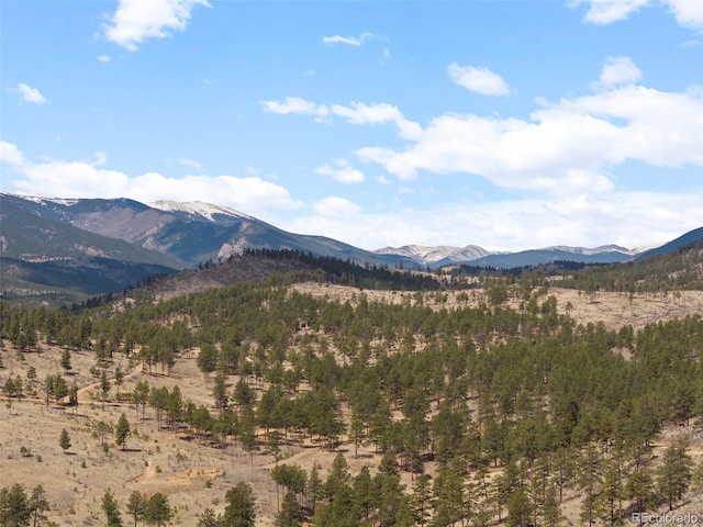 582 Buddy Rd, Bailey, CO 80421 - property view of mountains