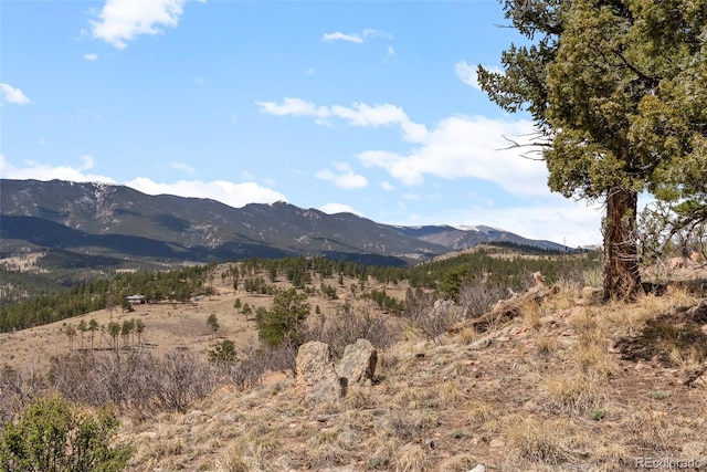 582 Buddy Rd, Bailey, CO 80421 - mountain view