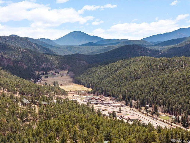 582 Buddy Rd, Bailey, CO 80421 - mountain view featuring a view of trees
