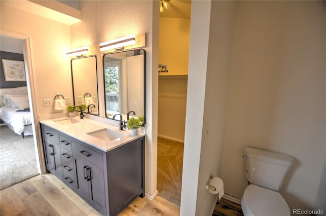 bathroom featuring vanity, toilet, and wood-type flooring