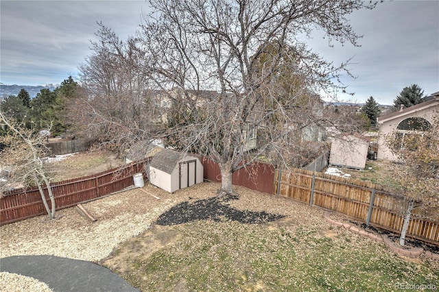 view of yard featuring a storage shed