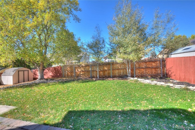 view of yard featuring a shed