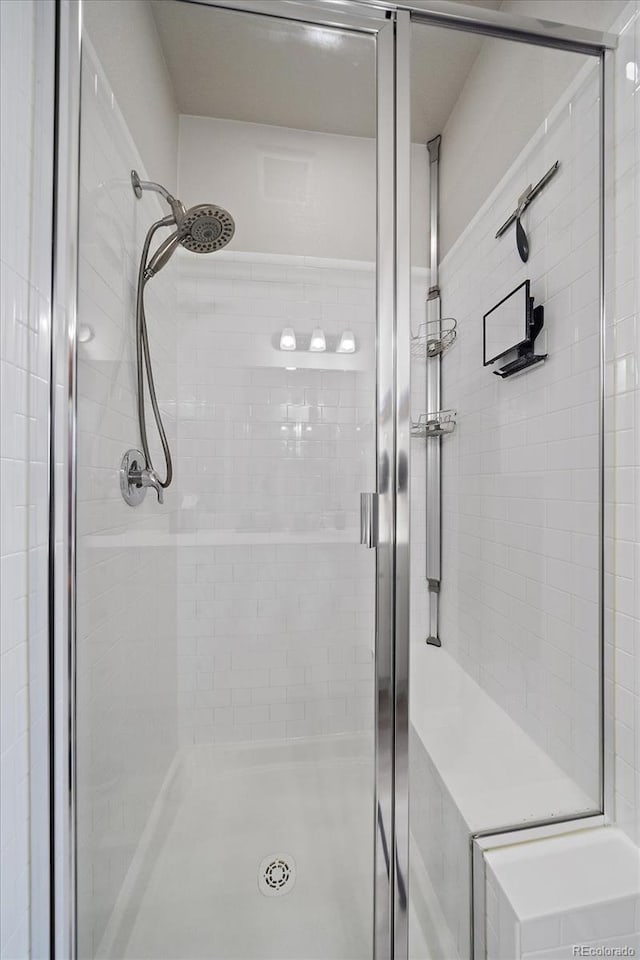 8908 Birch Run Ln, Parker, CO 80134 - bathroom featuring a shower stall