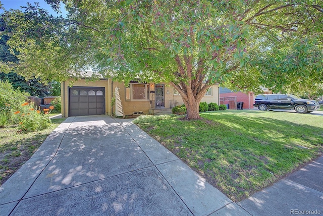 6054 Iris Way, Arvada, CO 80004 - view of property hidden behind natural elements featuring a front yard, a garage, concrete driveway, and stucco siding
