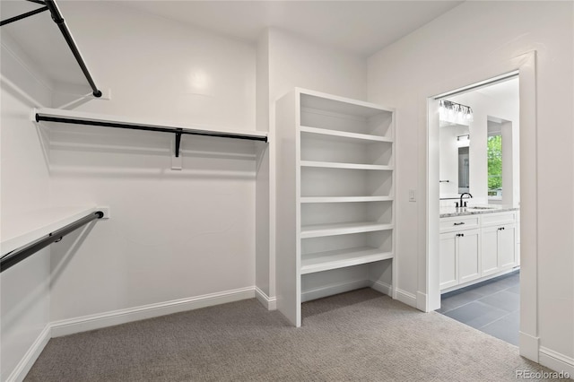 1970 S Logan St, Denver, CO 80210 - spacious closet featuring dark colored carpet and a sink