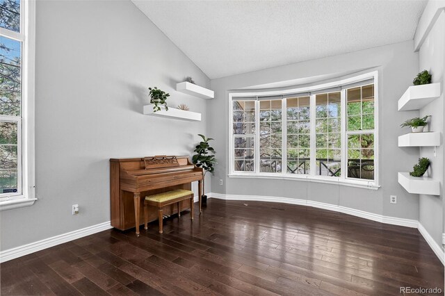 10343 Stoneflower Dr, Parker, CO 80134 - photo 8