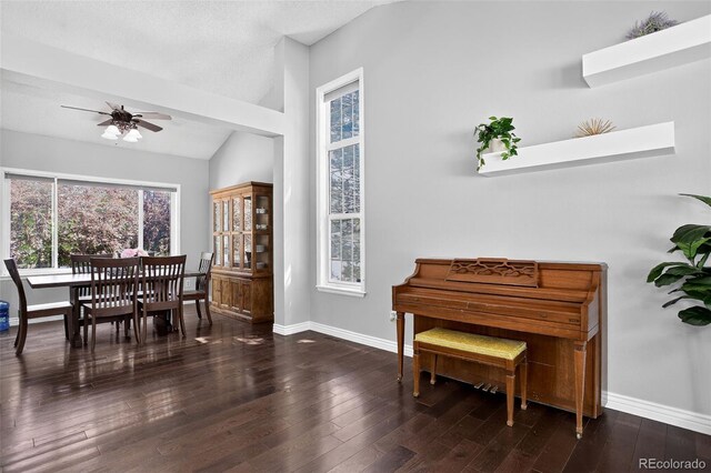 10343 Stoneflower Dr, Parker, CO 80134 - photo 9