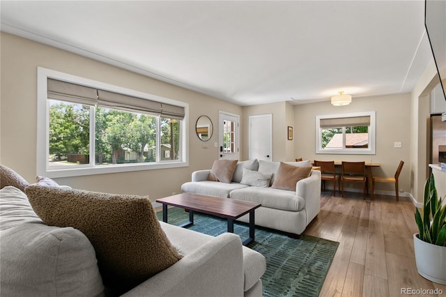 5280 S Logan St, Littleton, CO 80121 - living room featuring wood-type flooring and baseboards