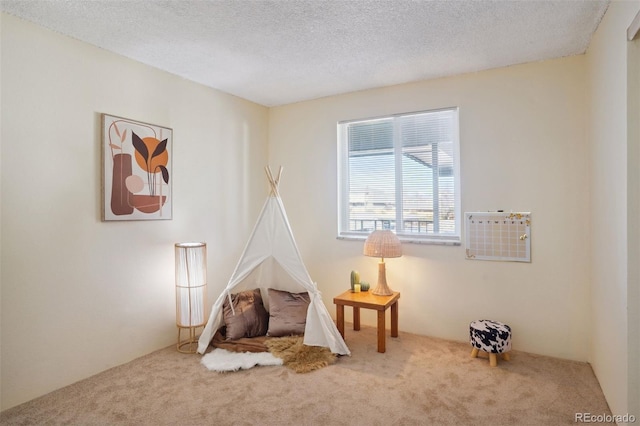 living area featuring carpet floors and a textured ceiling