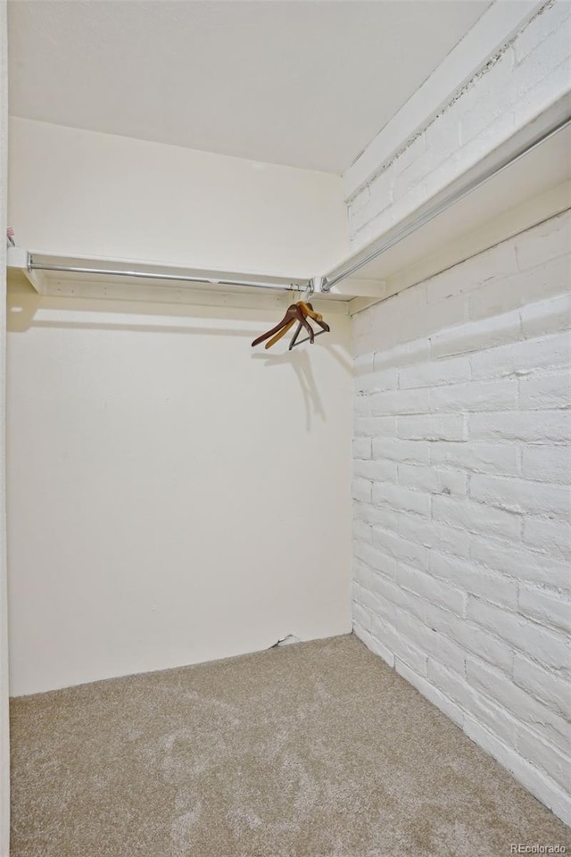 walk in closet featuring carpet flooring