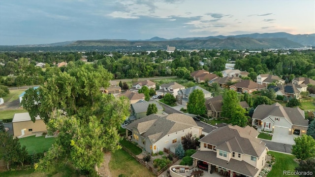 5049 Gladiola Way, Golden, CO 80403 - photo 42
