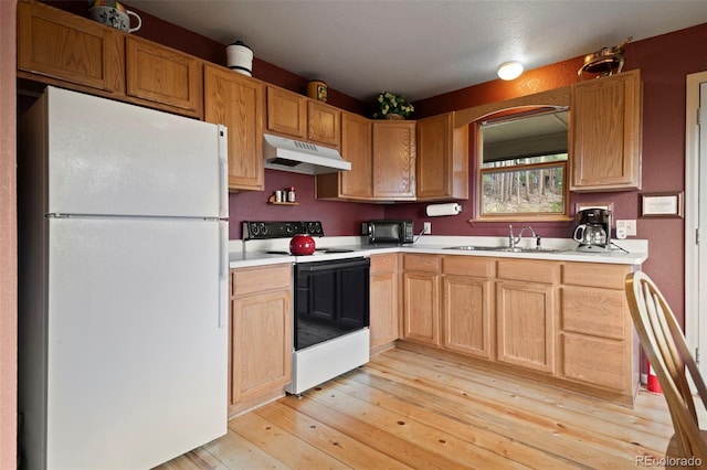 189 Sioux Trl, Evergreen, CO 80439 - photo 11