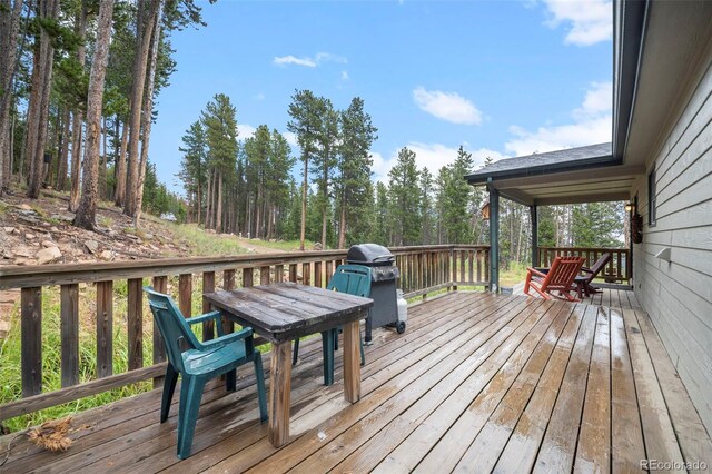 189 Sioux Trl, Evergreen, CO 80439 - photo 24