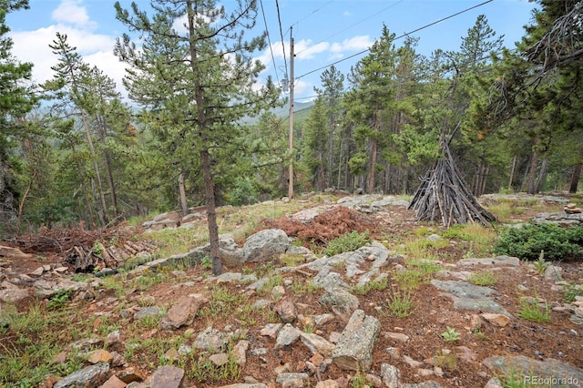 189 Sioux Trl, Evergreen, CO 80439 - photo 25