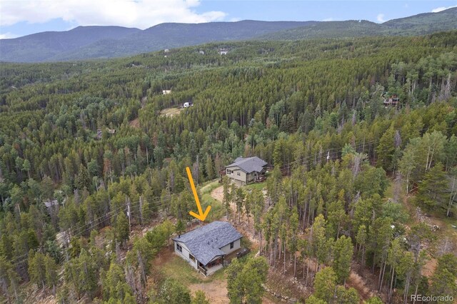 189 Sioux Trl, Evergreen, CO 80439 - photo 29