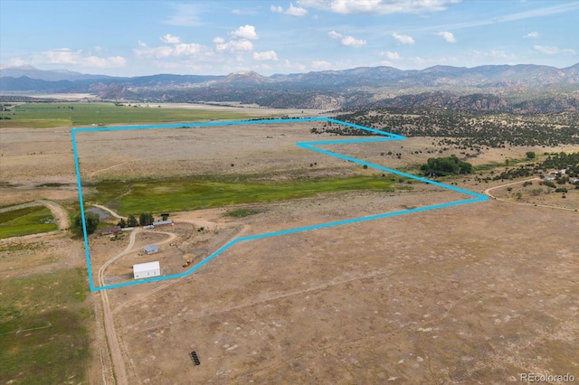 11355 E County Road 270, Nathrop, CO 81236 - photo 42
