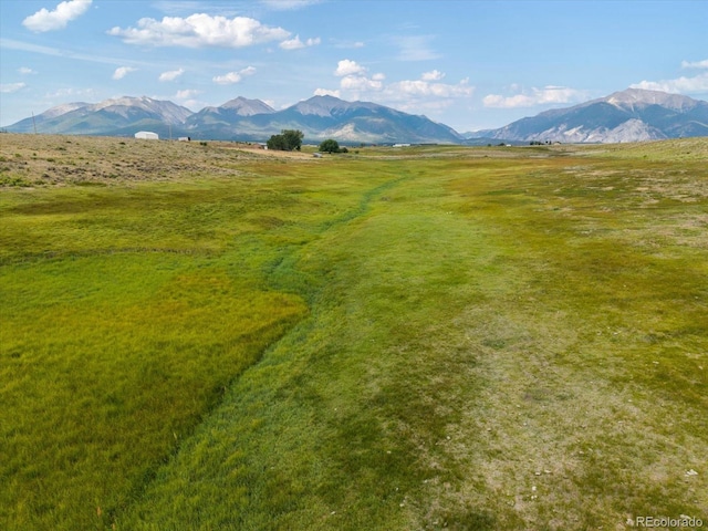 11355 E County Road 270, Nathrop, CO 81236 - photo 44