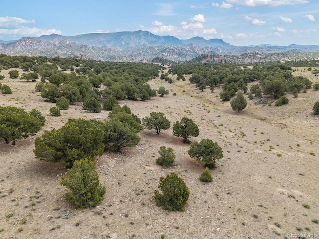 11355 E County Road 270, Nathrop, CO 81236 - photo 47
