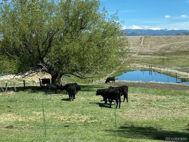 11355 E County Road 270, Nathrop, CO 81236 - photo 48