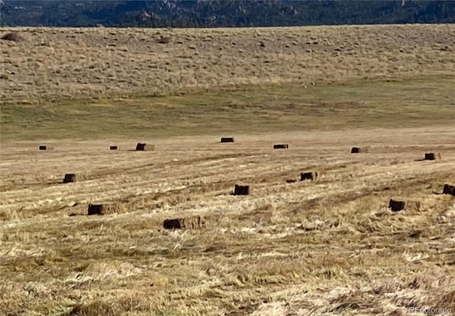 11355 E County Road 270, Nathrop, CO 81236 - photo 49