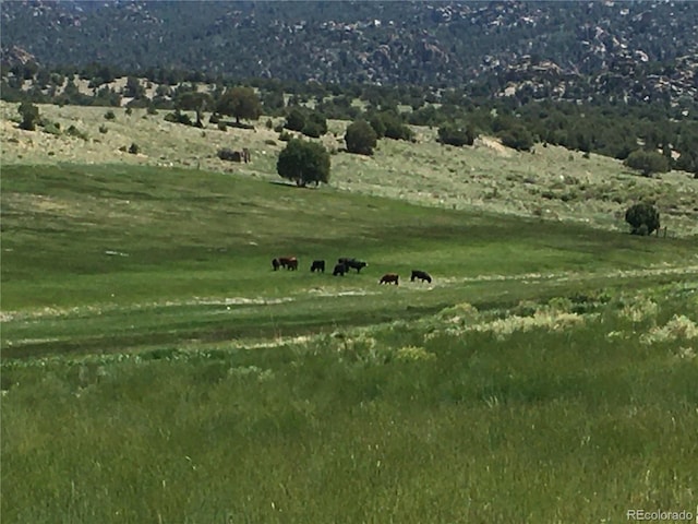 11355 E County Road 270, Nathrop, CO 81236 - photo 50