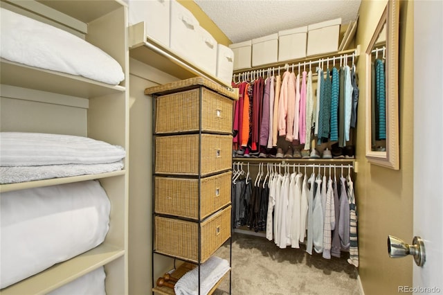 spacious closet with carpet floors