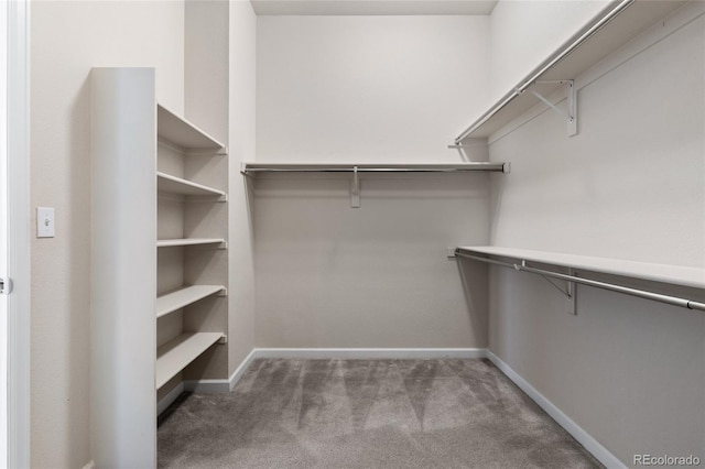 spacious closet featuring dark colored carpet