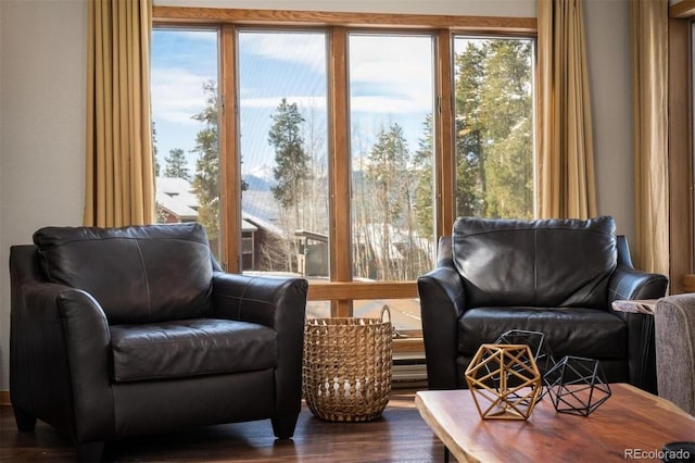 interior space with dark hardwood / wood-style flooring