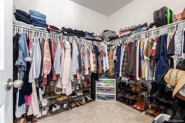 spacious closet with carpet