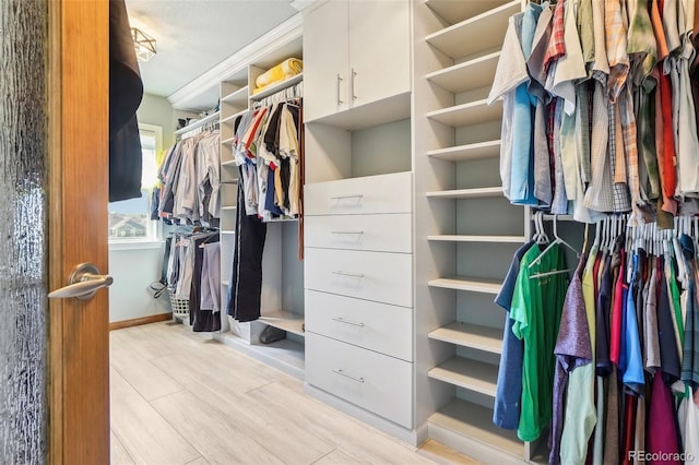 walk in closet featuring wood finished floors