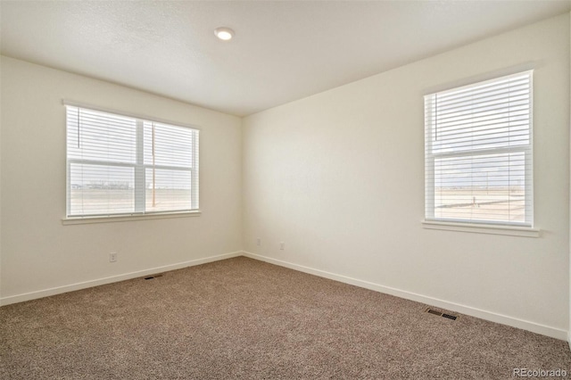376 Chardon Ave, Brighton, CO 80601 - photo 14