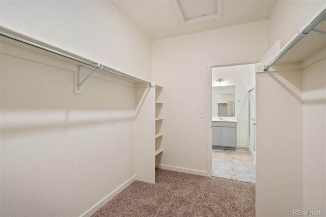 376 Chardon Ave, Brighton, CO 80601 - photo 18