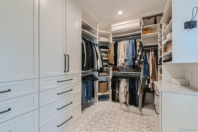 view of spacious closet