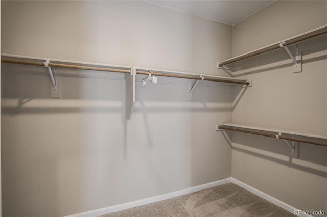 1341 Solitaire St, Colorado Springs, CO 80905 - spacious closet featuring carpet floors