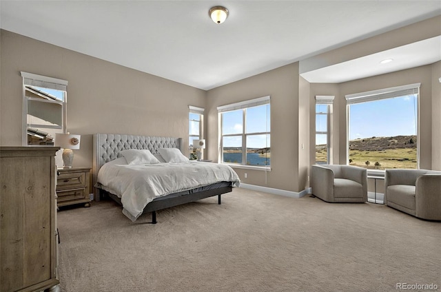 3255 Waterfront Dr, Monument, CO 80132 - photo 15
