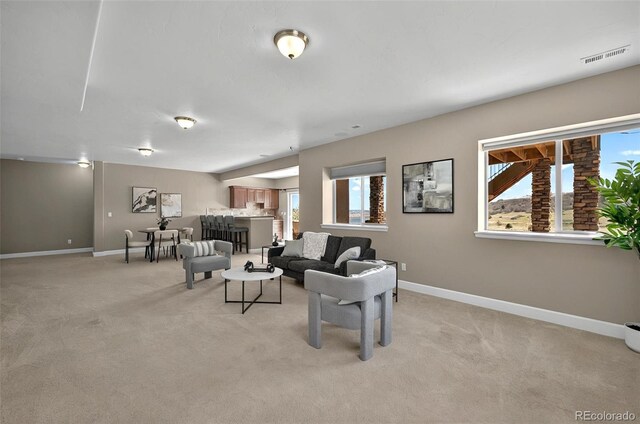 3255 Waterfront Dr, Monument, CO 80132 - photo 20