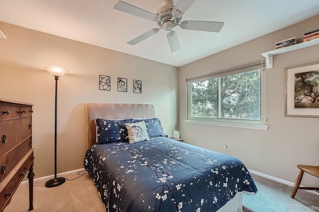8216 S Krameria Way, Centennial, CO 80112 - photo 29