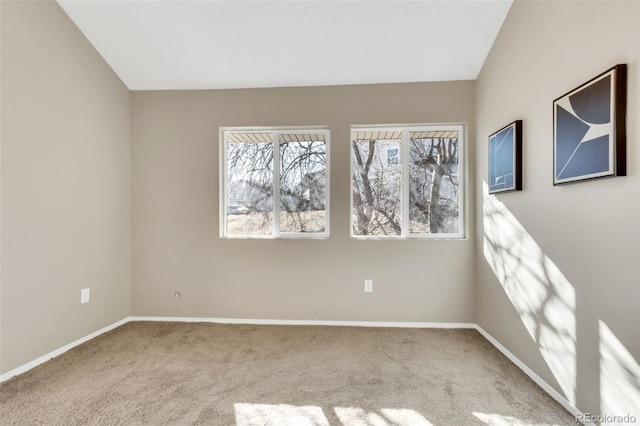 carpeted spare room with plenty of natural light and lofted ceiling