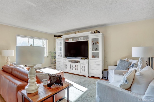 living area with wood finished floors and a textured ceiling