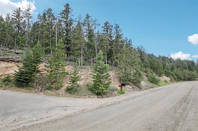 Elk Valley Dr, Evergreen, CO 80439 - photo 3