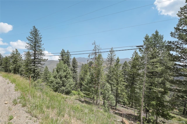 Elk Valley Dr, Evergreen, CO 80439 - photo 4