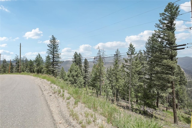 Elk Valley Dr, Evergreen, CO 80439 - photo 5