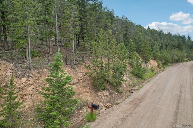 Elk Valley Dr, Evergreen, CO 80439 - photo 6