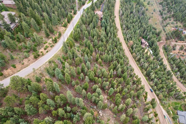 Elk Valley Dr, Evergreen, CO 80439 - photo 7