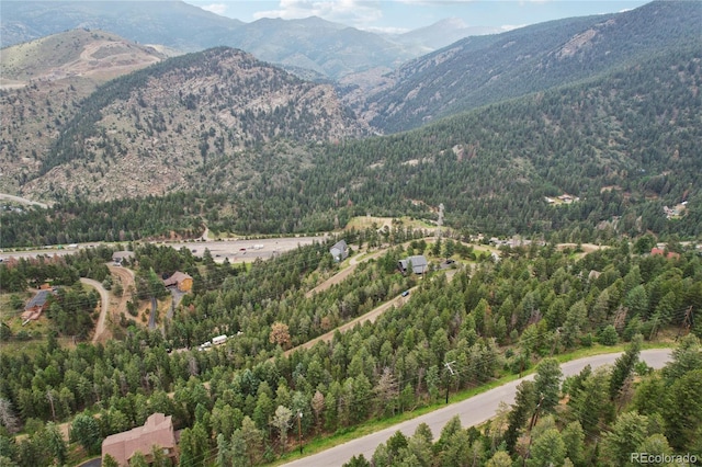 Elk Valley Dr, Evergreen, CO 80439 - photo 8