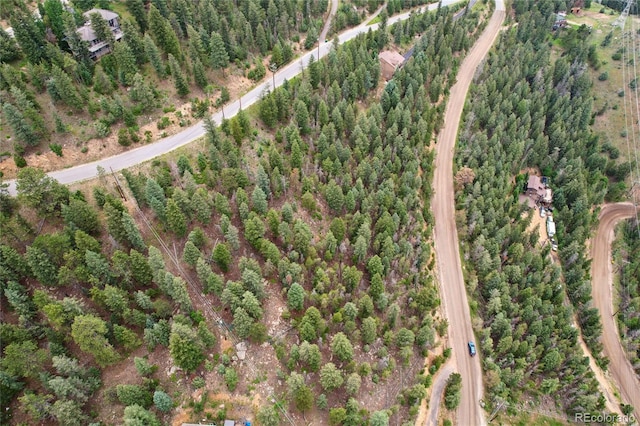 Elk Valley Dr, Evergreen, CO 80439 - photo 9