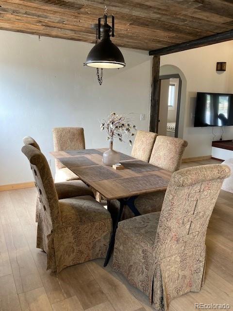 13999 County Road 162, Nathrop, CO 81236 - photo 5