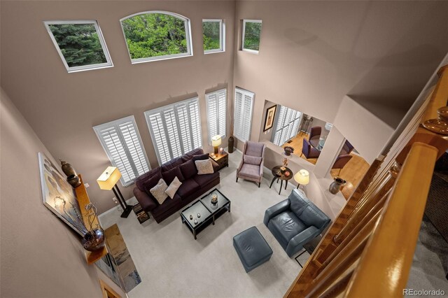10524 Serengeti Dr, Lone Tree, CO 80124 - living room featuring carpet and a high ceiling